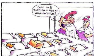 Which one's ours?
Take a wild guess
