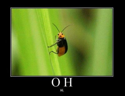 Oh, hi
Haven't seen you since the gardening accident
