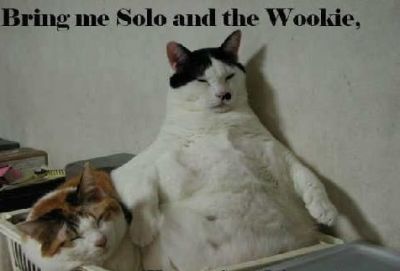 Bring me Solo and the Wookie
Jabba the cat
