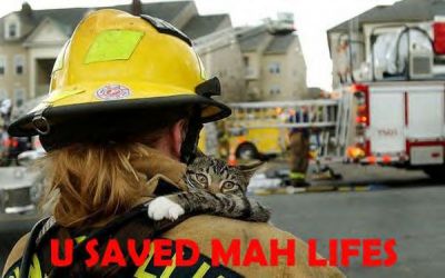 Saved ma lifes
