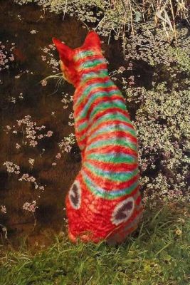 Cat fish
Look closely 
