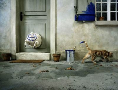 Doot stopper
Cat's revenge
