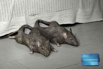 Rat slippers
In the ghetto they make do with what they have
