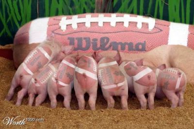 Pig skin
Now you know
