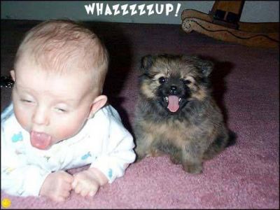 Whazzzzzzup baby and dog
