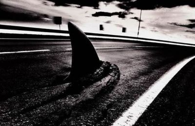 Tar shark!
Don't let anyone from SyFy ever see this. There will be a movie about it the next week.
