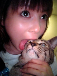 Have you tasted your cat today?
